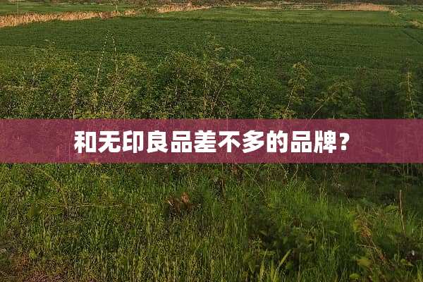 和无印良品差不多的品牌？