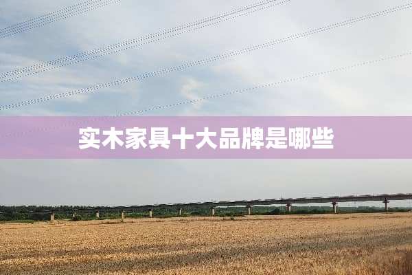 实木家具十大品牌是哪些