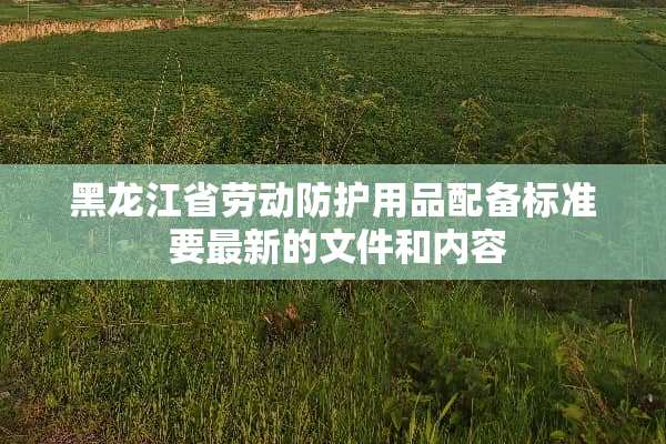 黑龙江省劳动防护用品配备标准 要最新的文件和内容