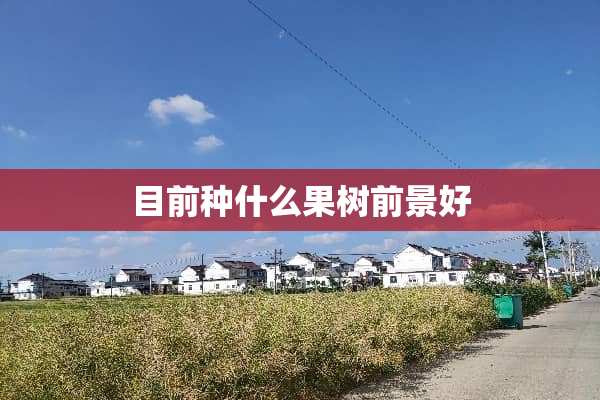 目前种什么果树前景好