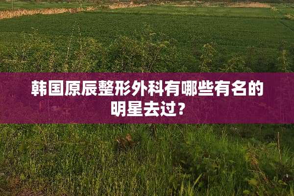 韩国原辰整形外科有哪些有名的明星去过？