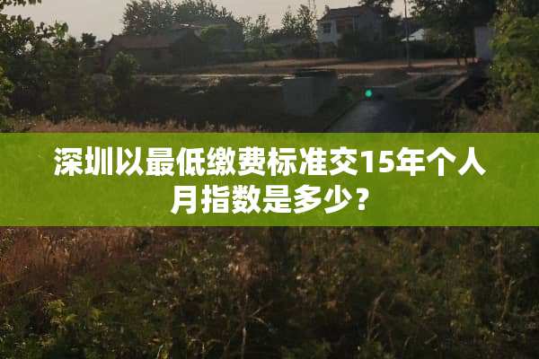 深圳以最低缴费标准交15年个人月指数是多少？