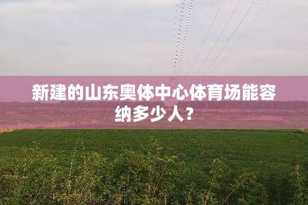 新建的山东奥体中心体育场能容纳多少人？