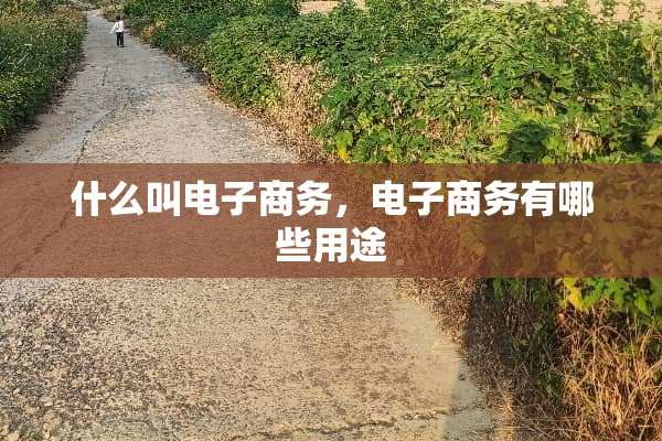 什么叫电子商务，电子商务有哪些用途