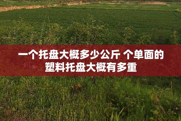 一个托盘大概多少公斤 个单面的塑料托盘大概有多重