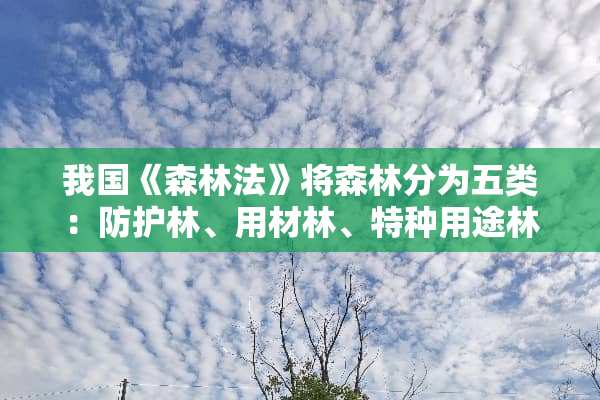 我国《森林法》将森林分为五类：防护林、用材林、特种用途林、薪炭林和什么