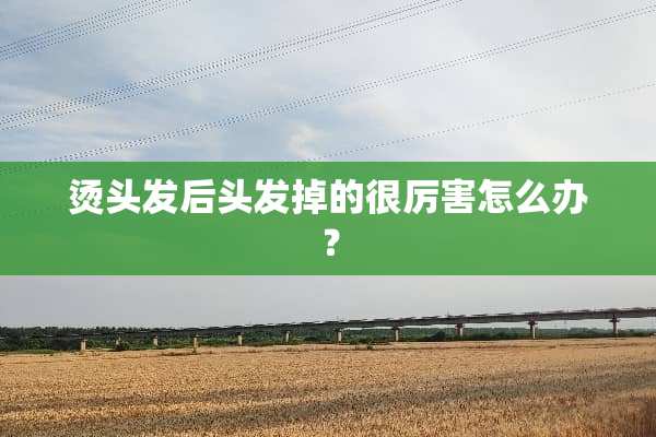 烫头发后头发掉的很厉害怎么办？