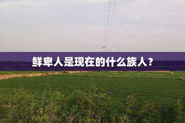 鲜卑人是现在的什么族人？