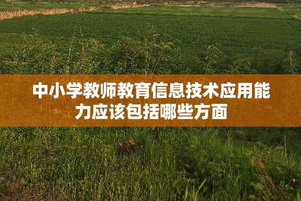 中小学教师教育信息技术应用能力应该包括哪些方面