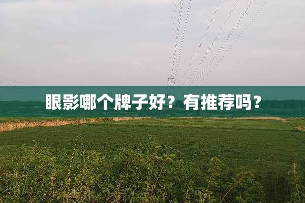 眼影哪个牌子好？有推荐吗？