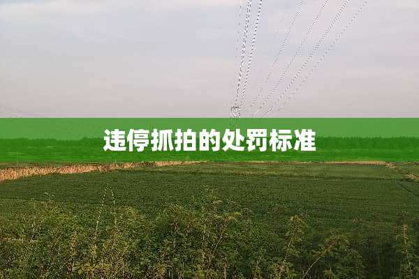 违停抓拍的处罚标准
