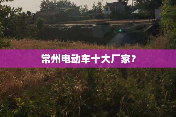 常州电动车十大厂家？