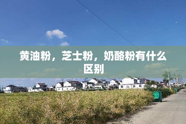 黄油粉，芝士粉，奶酪粉有什么区别