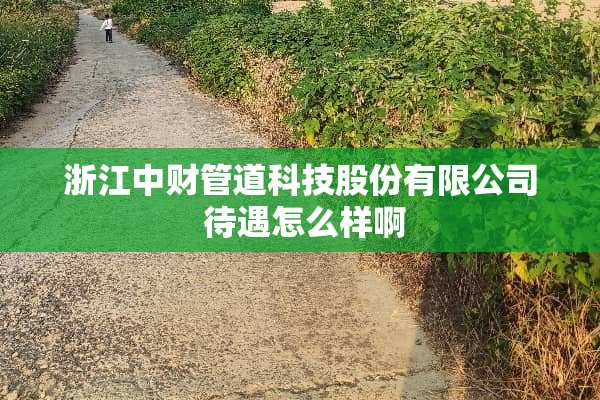 浙江中财管道科技股份有限公司 待遇怎么样啊