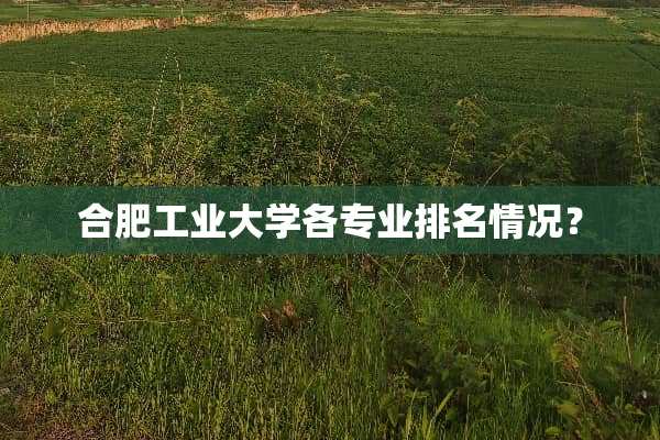 合肥工业大学各专业排名情况？