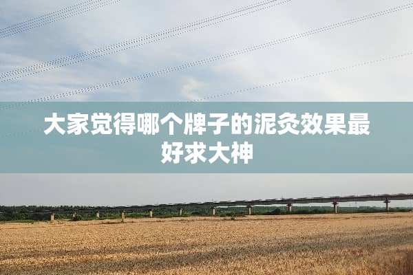 大家觉得哪个牌子的泥灸效果最好求大神