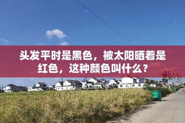 头发平时是黑色，被太阳晒着是红色，这种颜色叫什么？