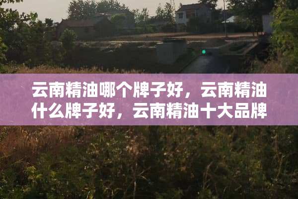 云南精油哪个牌子好，云南精油什么牌子好，云南精油十大品牌排名？