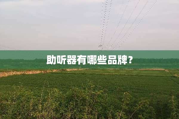 ***有哪些品牌？