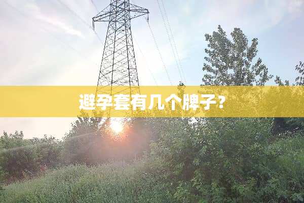 ***有几个牌子？