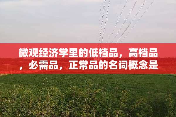 微观经济学里的低档品，高档品，必需品，正常品的名词概念是？