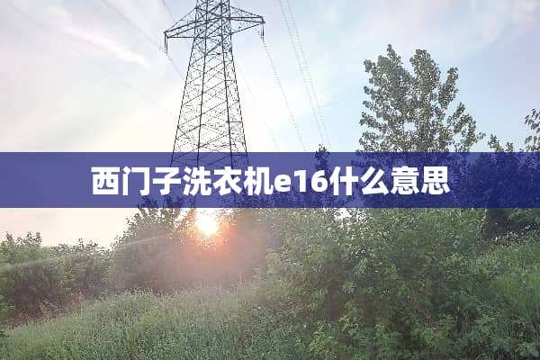 西门子洗衣机e16什么意思