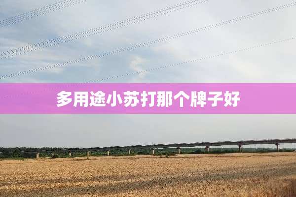 多用途小苏打那个牌子好