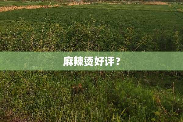 麻辣烫好评？