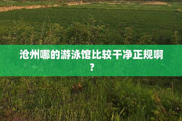 沧州哪的游泳馆比较干净正规啊？