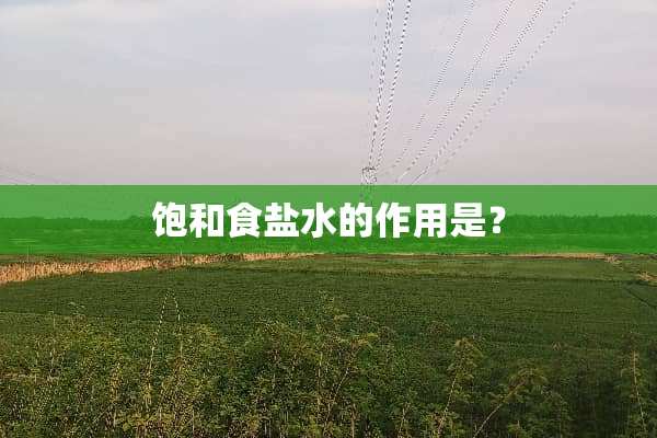 饱和食盐水的作用是？