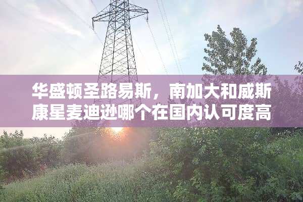 华盛顿圣路易斯，南加大和威斯康星麦迪逊哪个在国内认可度高？