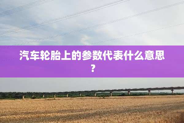 汽车轮胎上的参数代表什么意思？