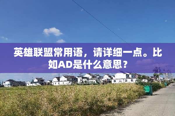 英雄联盟常用语，请详细一点。比如AD是什么意思？