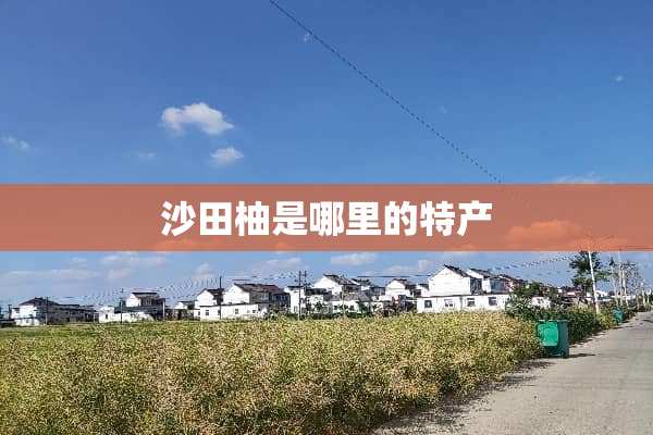 沙田柚是哪里的特产