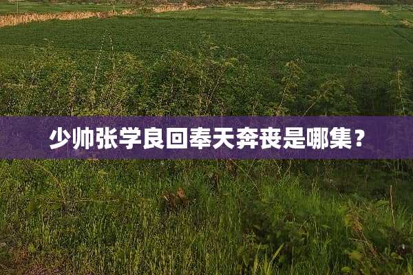 少帅张学良回奉天奔丧是哪集？