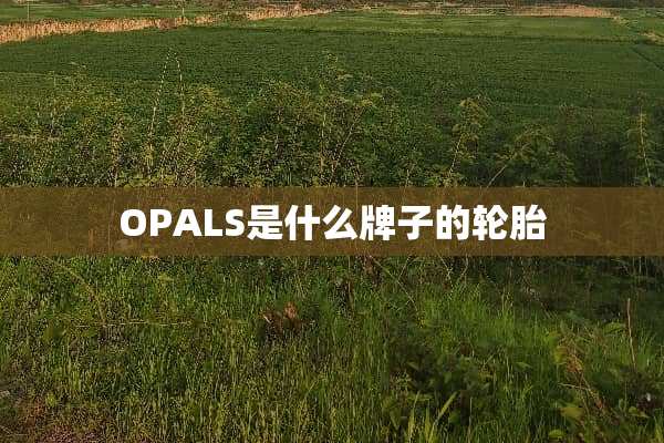 OPALS是什么牌子的轮胎