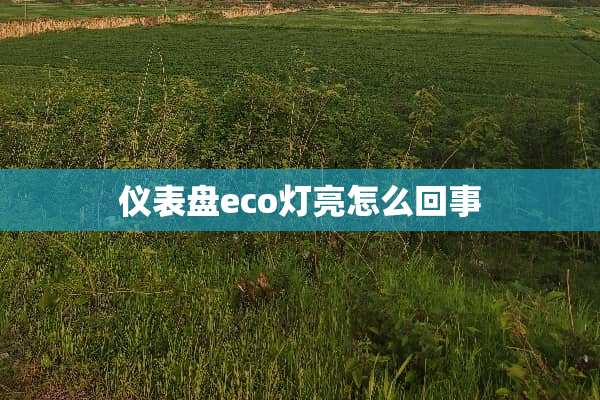 仪表盘eco灯亮怎么回事