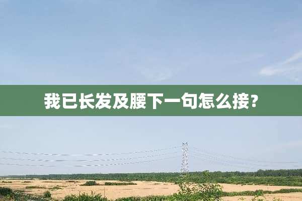 我已长发及腰下一句怎么接？