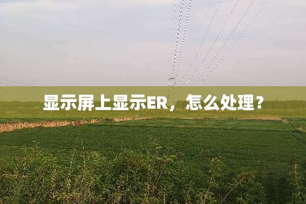 显示屏上显示ER，怎么处理？