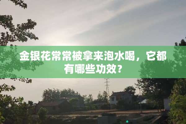 金银花常常被拿来泡水喝，它都有哪些功效？