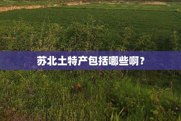 苏北土特产包括哪些啊？