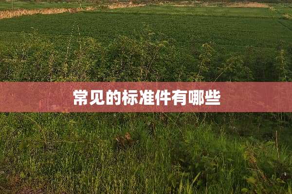 常见的标准件有哪些