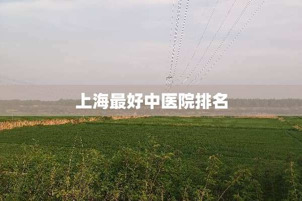 上海最好中医院排名