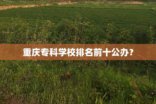 重庆专科学校排名前十公办？