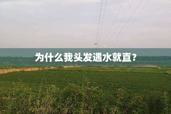 为什么我头发遇水就直？