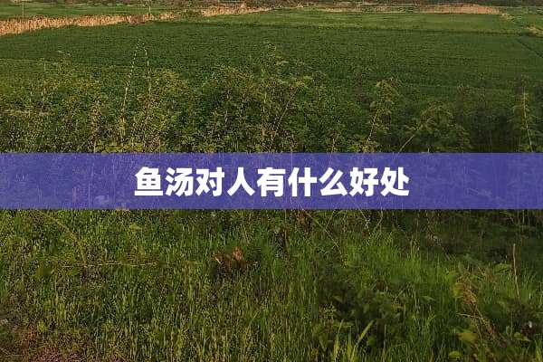 鱼汤对人有什么好处