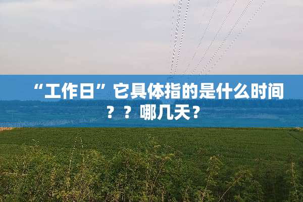 “工作日”它具体指的是什么时间？？哪几天？