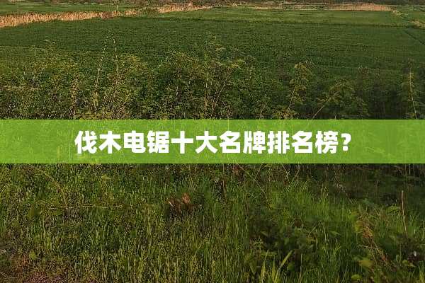 伐木电锯十大名牌排名榜？