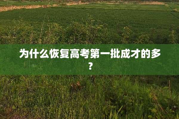 为什么恢复高考第一批成才的多？