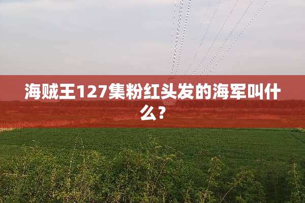 海贼王127集粉红头发的海军叫什么？